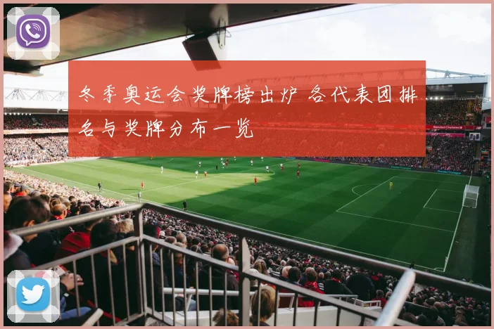 冬季奥运会奖牌榜出炉 各代表团排名与奖牌分布一览