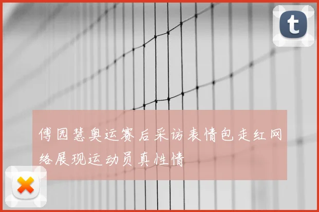 傅园慧奥运赛后采访表情包走红网络展现运动员真性情