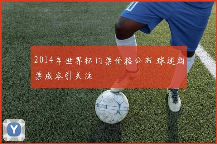 2014年世界杯门票价格公布 球迷购票成本引关注